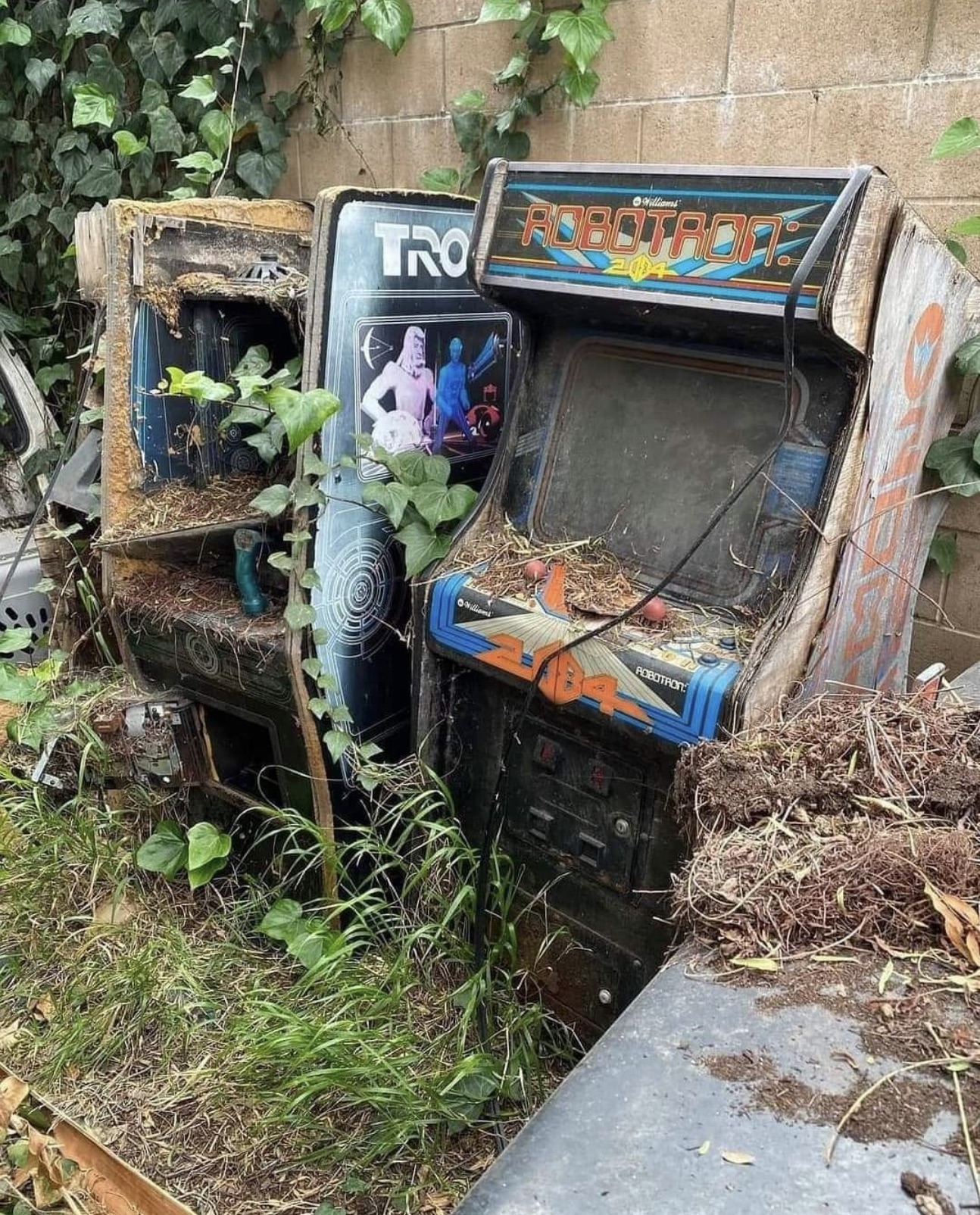 abandoned pizza arcades - Tro